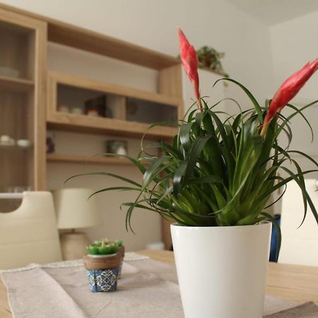 Ohana: Casa Nel Centro Di Лечче Екстер'єр фото